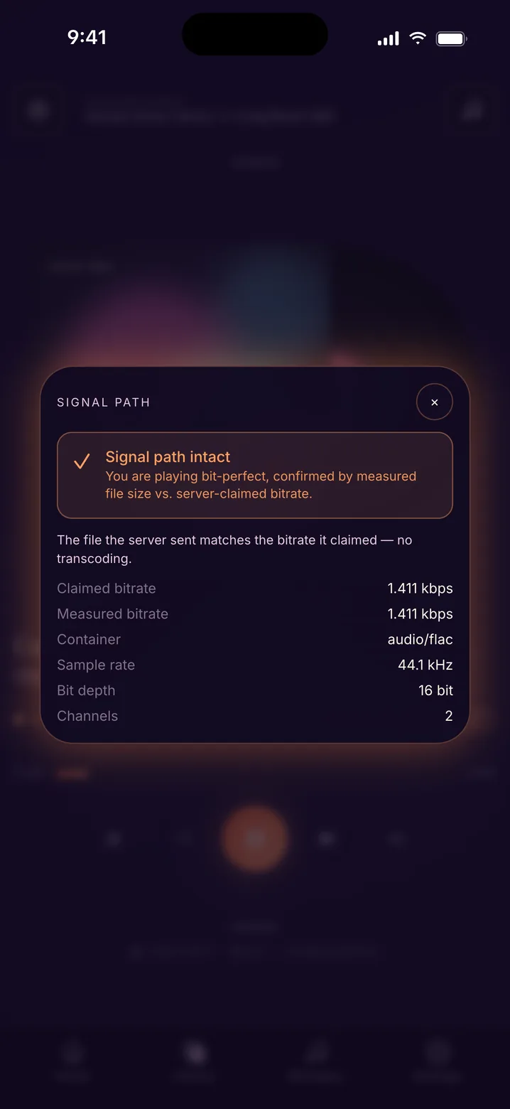 The signal path panel: Signal path intact, playing bit-perfect. Claimed bitrate 1,411 kbps, measured bitrate 1,411 kbps, container audio/flac, sample rate 44.1 kHz, bit depth 16 bit, 2 channels.